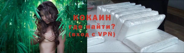не бодяженный Бородино