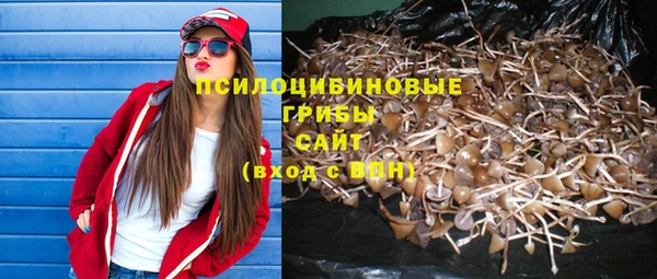 не бодяженный Бородино