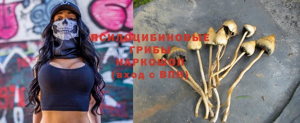 ГАЛЛЮЦИНОГЕННЫЕ ГРИБЫ Бронницы