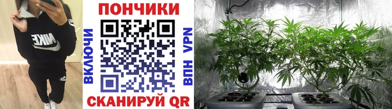 Шишки марихуана индика  Воронеж 